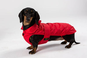 Fashion Dog - Cappotto impermeabile con imbottitura staccabile - Bassotti