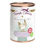 Terra Canis - First Aid