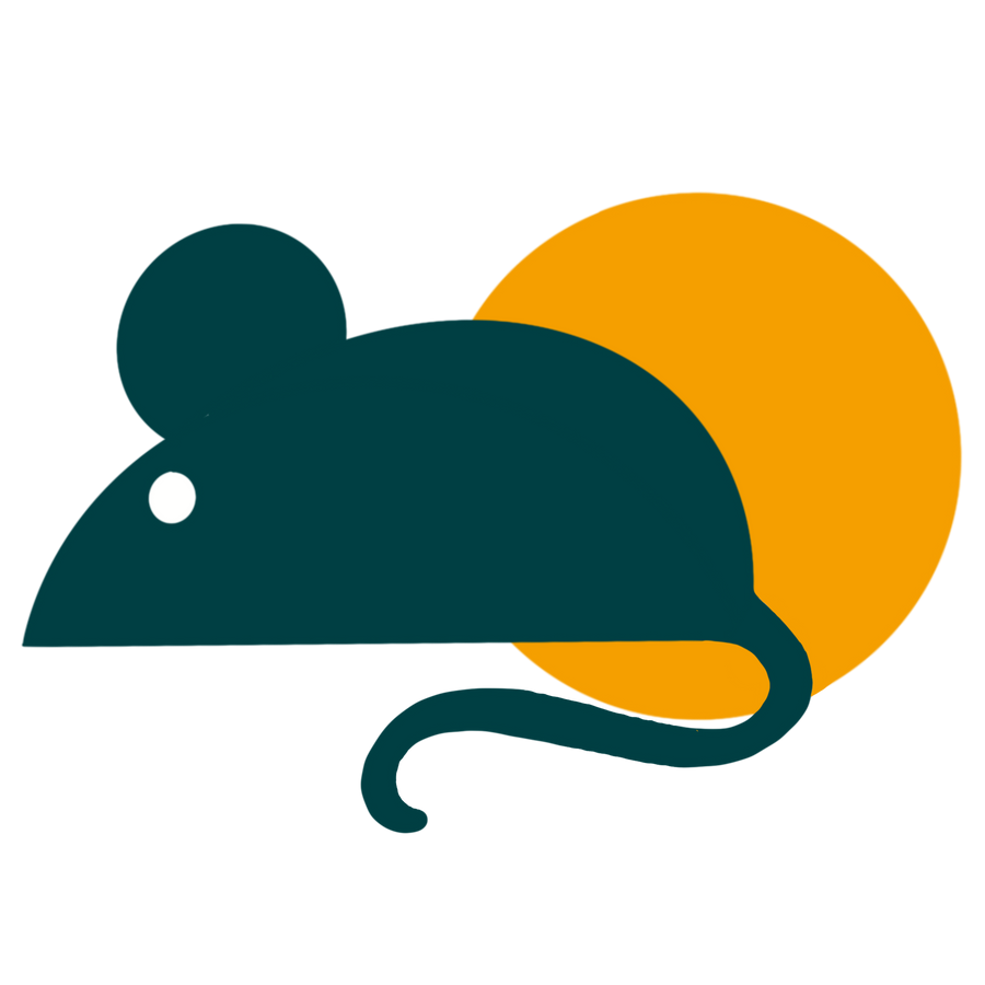 Gioco  gatto