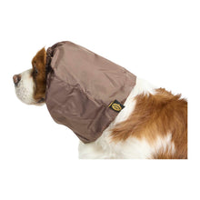 Fashion Dog - Para orecchie impermeabile fantasia