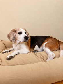 Cuccia Mati Mati in Memory Foam – completamente sfoderabile - in puro cotone