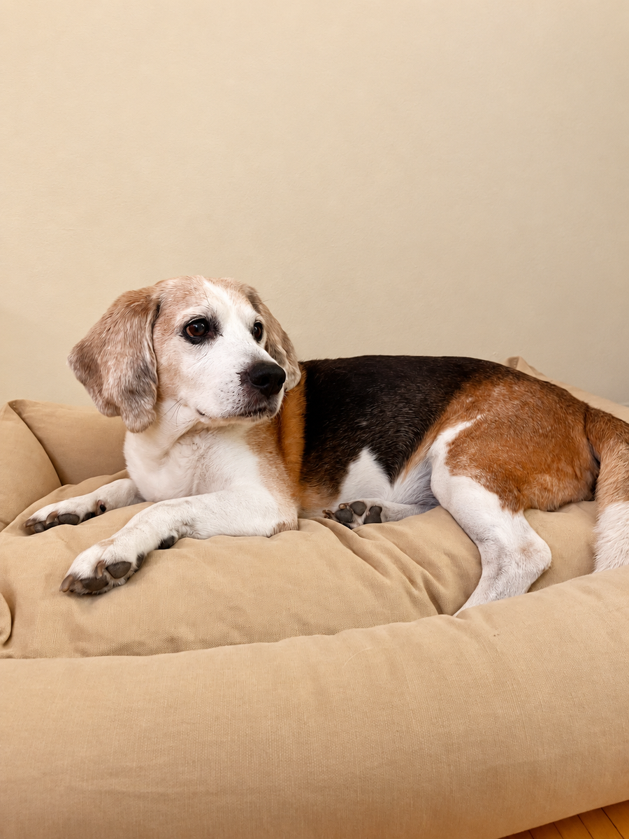 Cuccia Mati Mati in Memory Foam – completamente sfoderabile - in puro cotone
