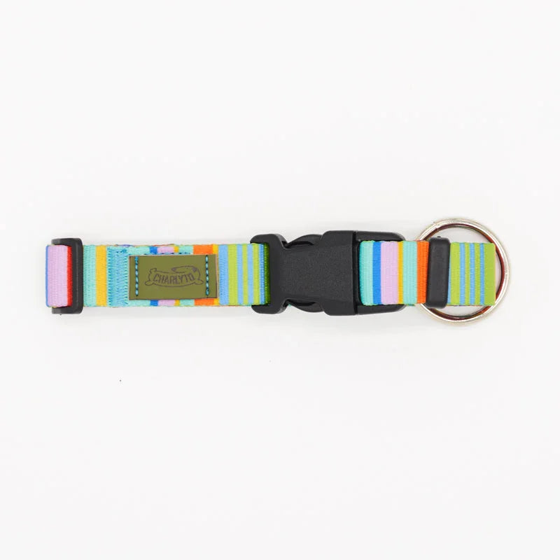 Collare earth vibes D- RING