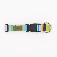 Collare earth vibes D- RING
