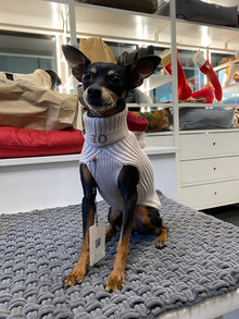 My Dog - Maglioncino a coste 2 fili Roma