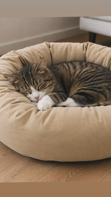 Cuccia rotonda Mati Mati per gatti in Memory Foam – sfoderabile - in puro cotone