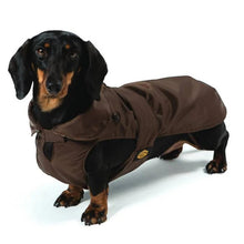 Cappotto impermeabile cane con imbottitura removibile – Fashion Dog