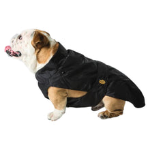 Fashion Dog - Cappotto impermeabile con imbottitura staccabile - Bulldog inglese