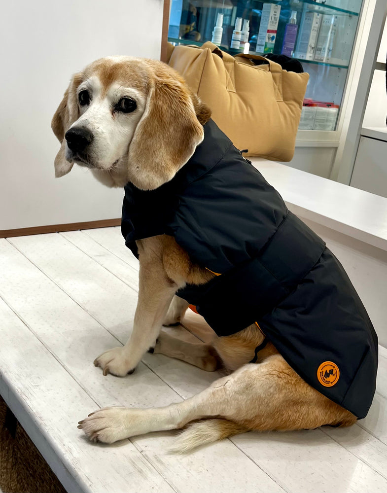 United Pets - SAVE THE DUCK - Impermeabile 4 stagioni per cani