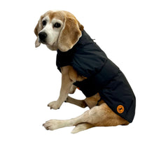 United Pets - SAVE THE DUCK - Impermeabile 4 stagioni per cani