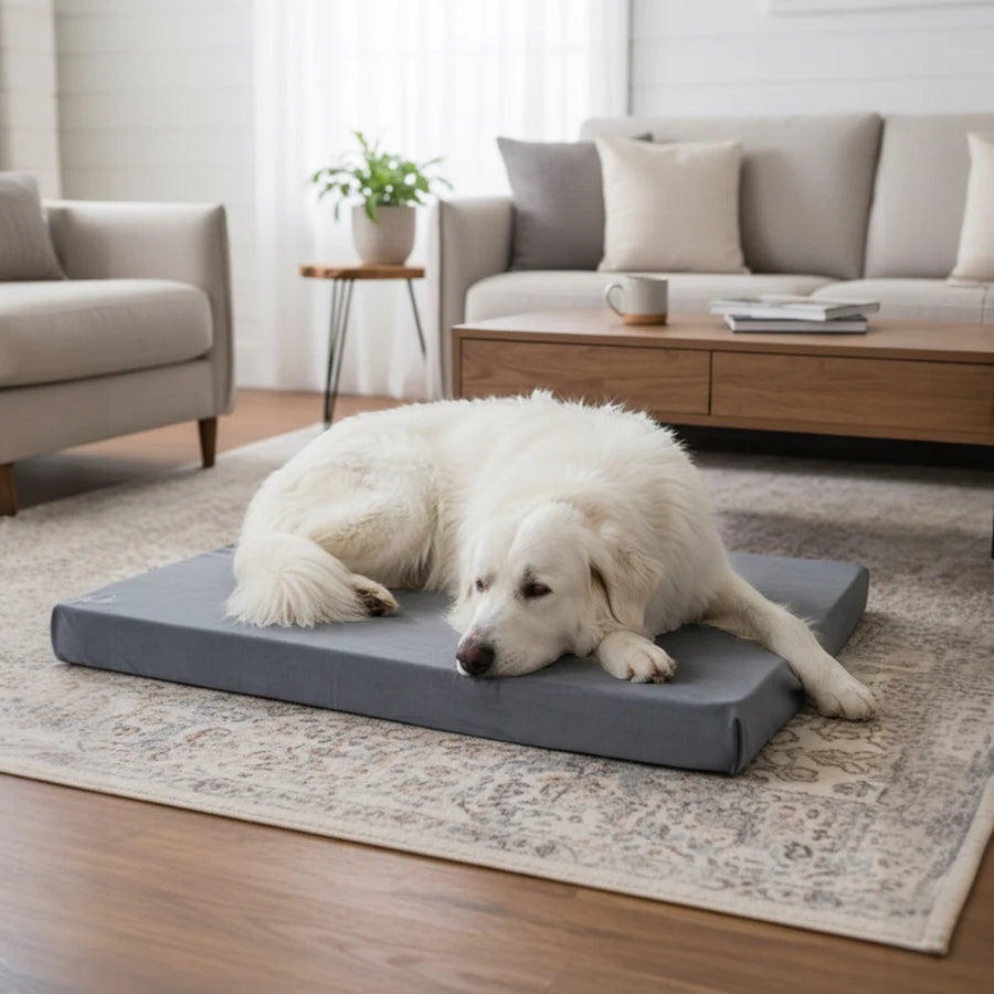 Letty Grande – Materasso ortopedico in memory foam e velluto sfoderabile