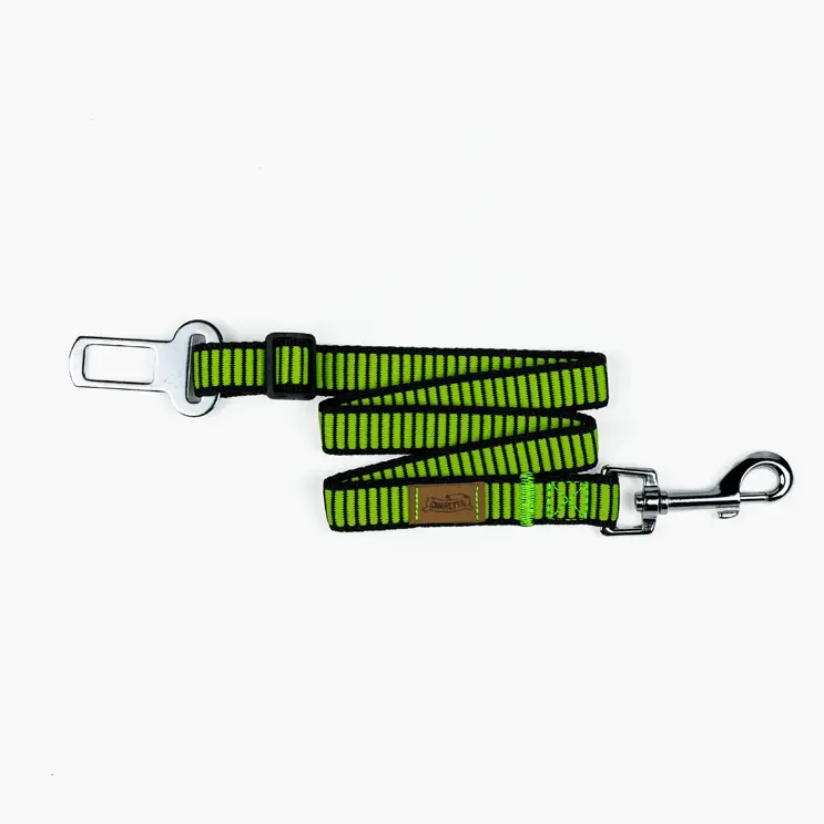 Charlyto cinture di sicurezza