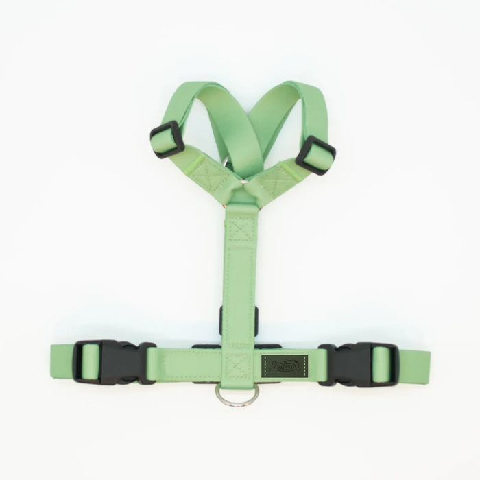 Pettorine Charlyto Earth