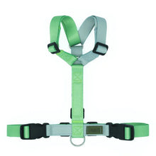 Pettorina Charlyto Earth Eco