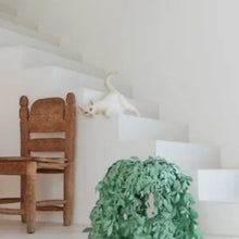 Cat Bush – tana di design per gatti, riciclabile e funzionale