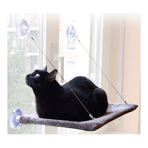 Cat View