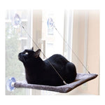 Cat View