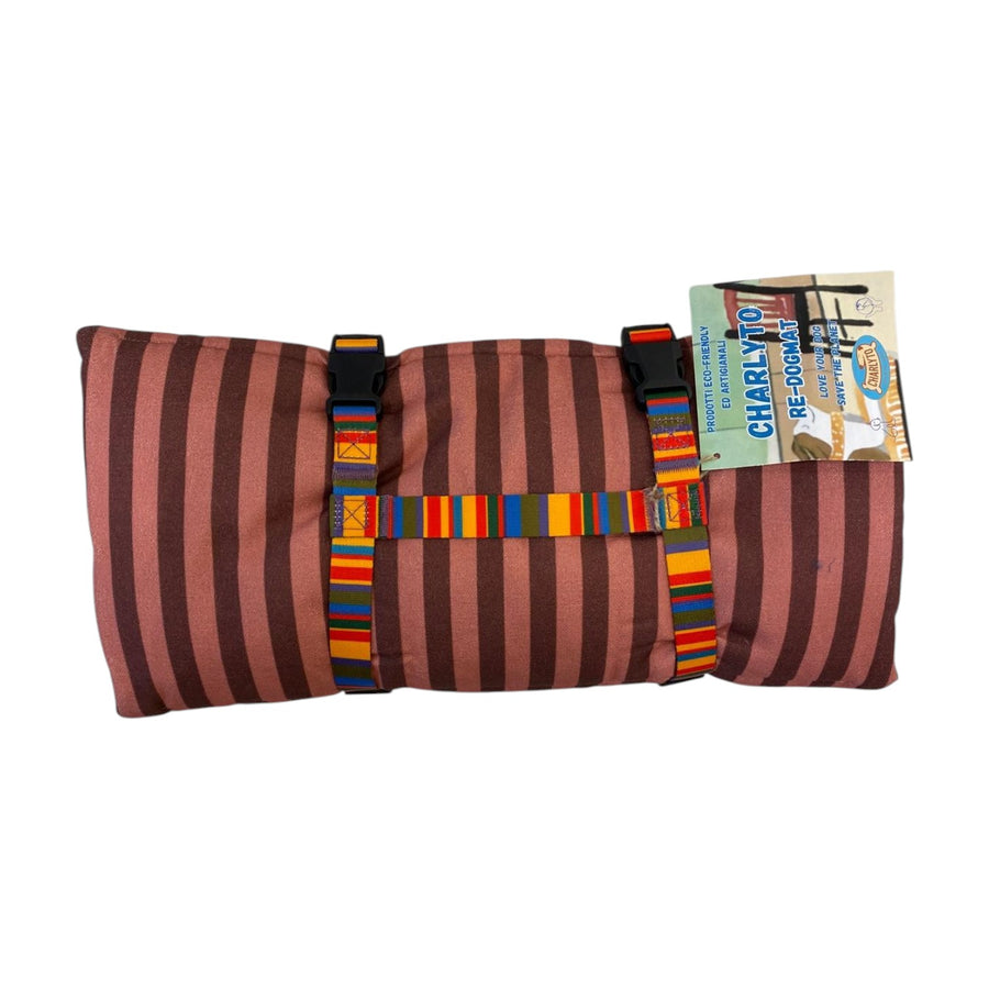 Charlyto RE-DOGMAT SUMMER SPECIAL EDITION TAGLIA S (40x60)