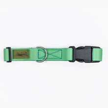 Collare earth vibes D- RING
