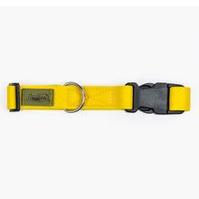 Collare earth vibes D- RING