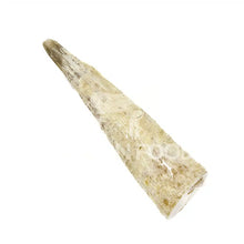 MASTICATIVI 100% naturali per cani (guida alla scelta)