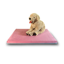 Letty- Materasso ortopedico cane in memory foam e velluto sfoderabile