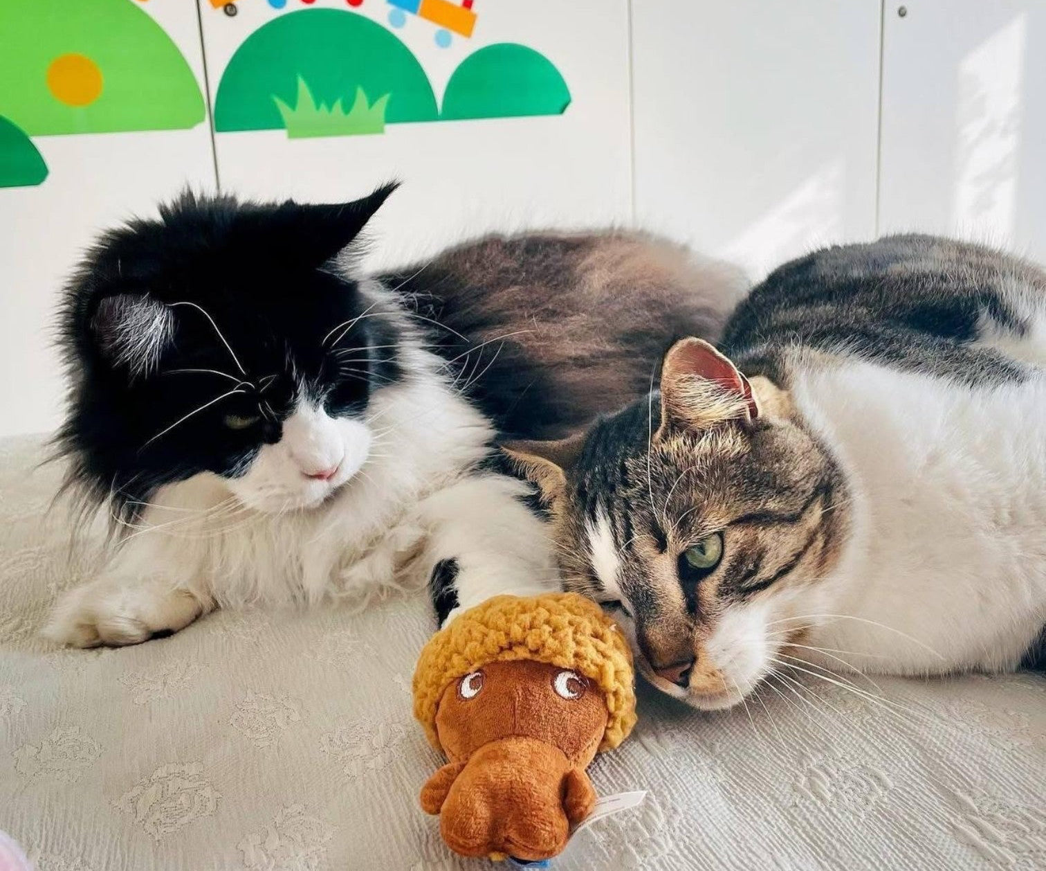 Giochi Gatto
