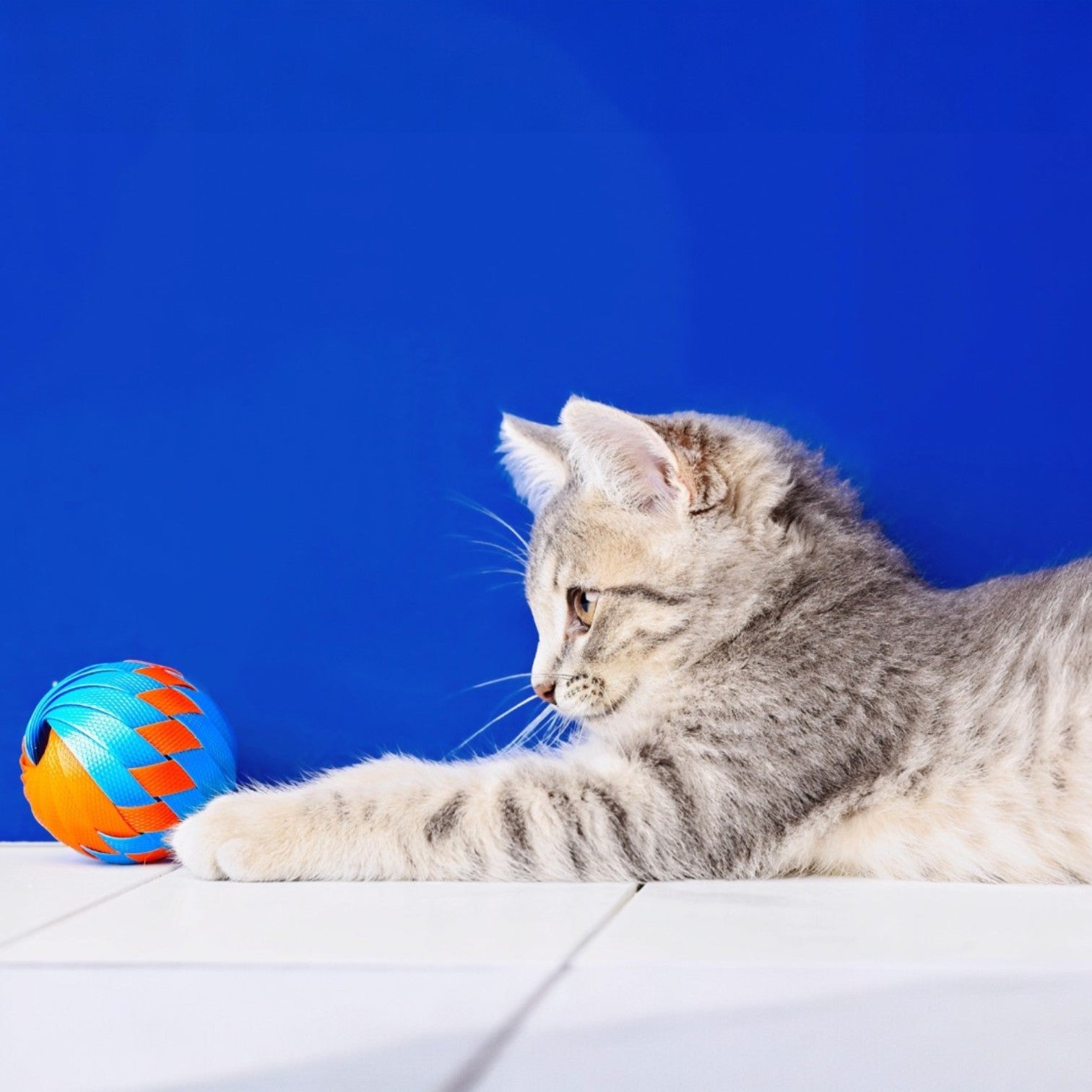 Giochi Gatto