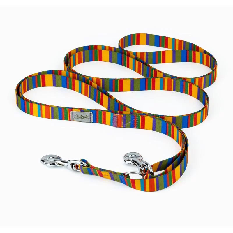 Guinzaglio Charlyto Earth Eco