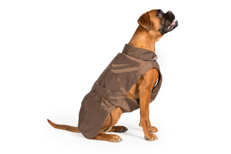 Fashion Dog - Cappotto impermeabile con imbottitura staccabile