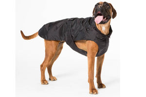 Fashion Dog - Cappotto impermeabile con imbottitura staccabile