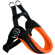 Tre Ponti - Pettorina Regolabile Mesh Fluo