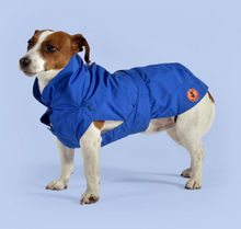 United Pets - SAVE THE DUCK - Impermeabile 4 stagioni per cani