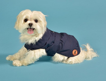 United Pets - SAVE THE DUCK - Impermeabile 4 stagioni per cani