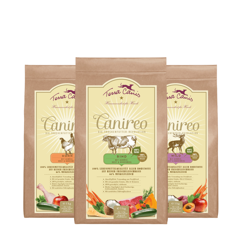 Terra Canis - Canireo