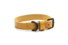 UNCONVENTIONALDOG - HOBO, Il collare