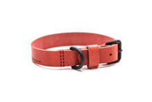 UNCONVENTIONALDOG - HOBO, Il collare
