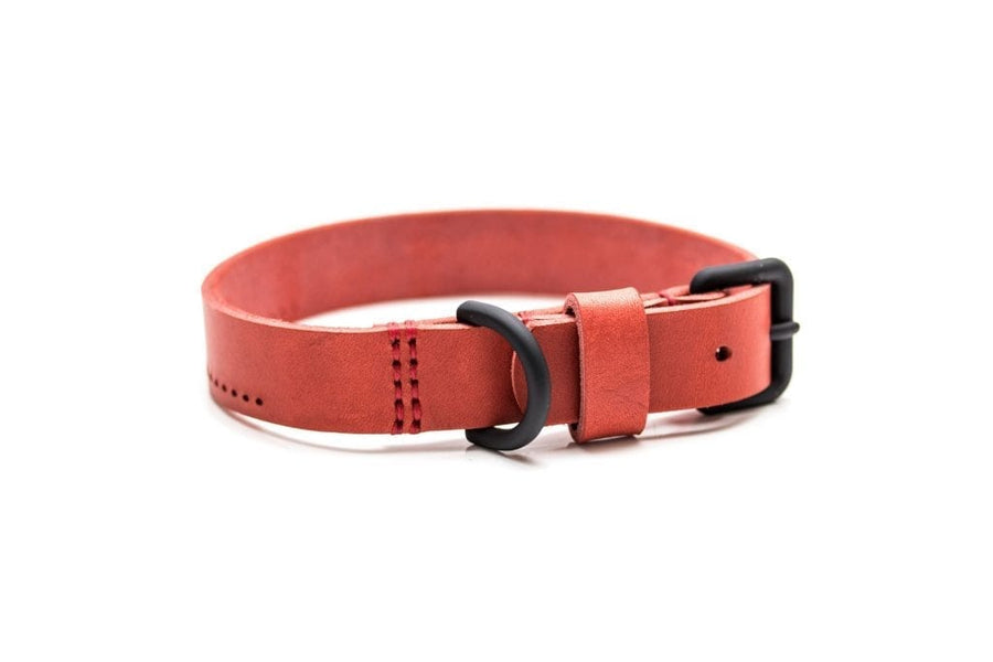 UNCONVENTIONALDOG - HOBO, Il collare