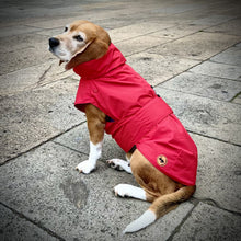 United Pets - SAVE THE DUCK - Impermeabile 4 stagioni per cani