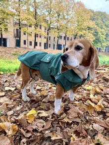 United Pets - SAVE THE DUCK - Impermeabile 4 stagioni per cani